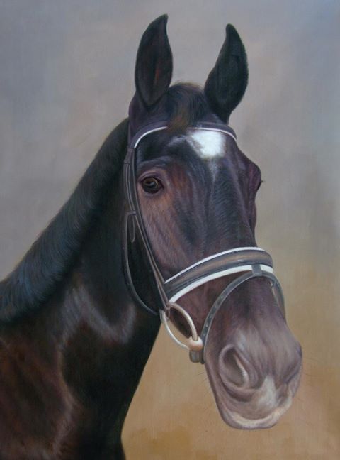 Portret paard
