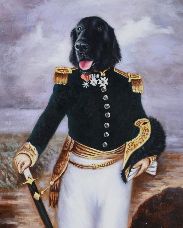 Hond in uniform image 01